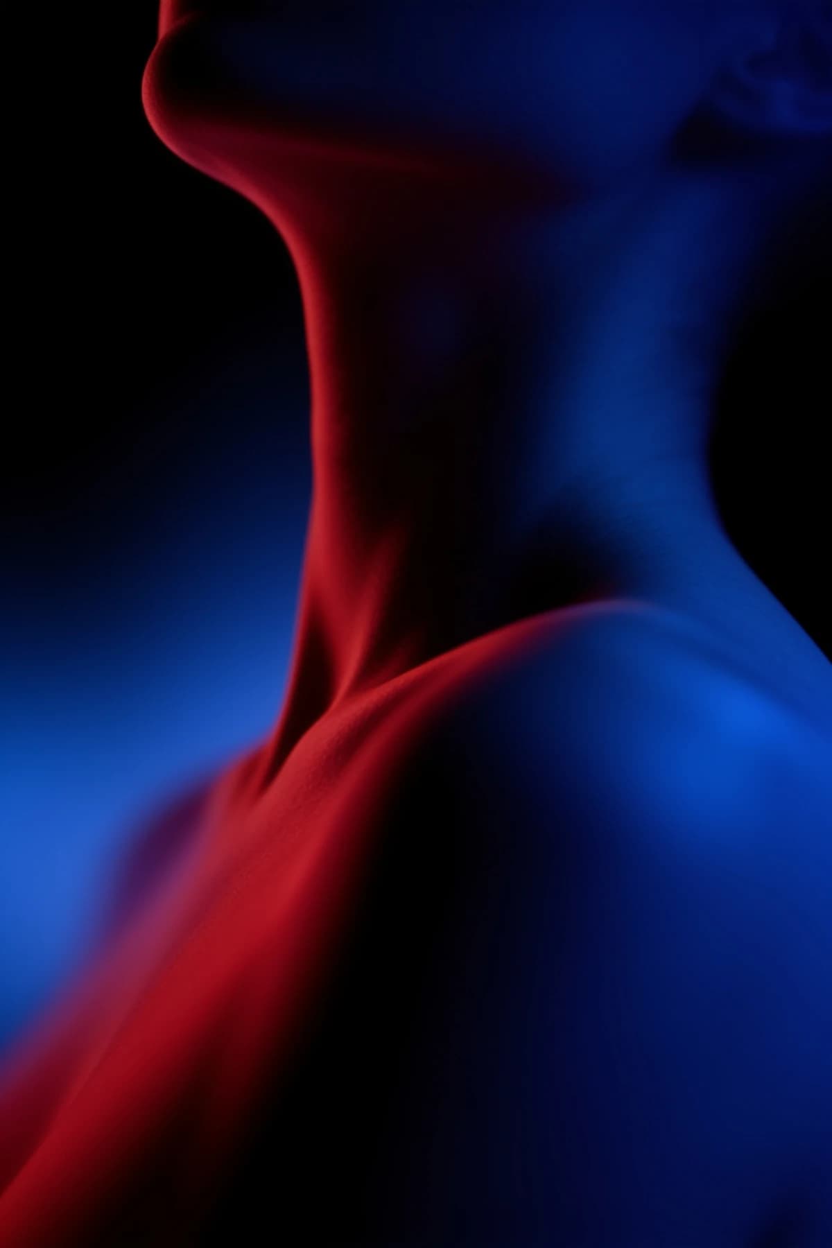 Abstract contour of a neck, collarbone and shoulder in red and blue